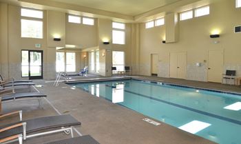 Indoor saltwater pool & spa